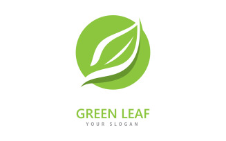 Green leaf logo icon vector template V5