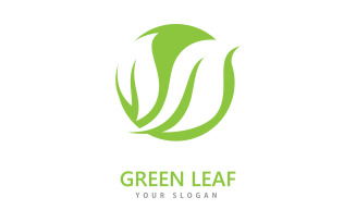 Green leaf logo icon vector template V6
