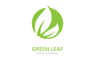 Green leaf logo icon vector template V7