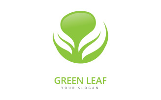 Green leaf logo icon vector template V8