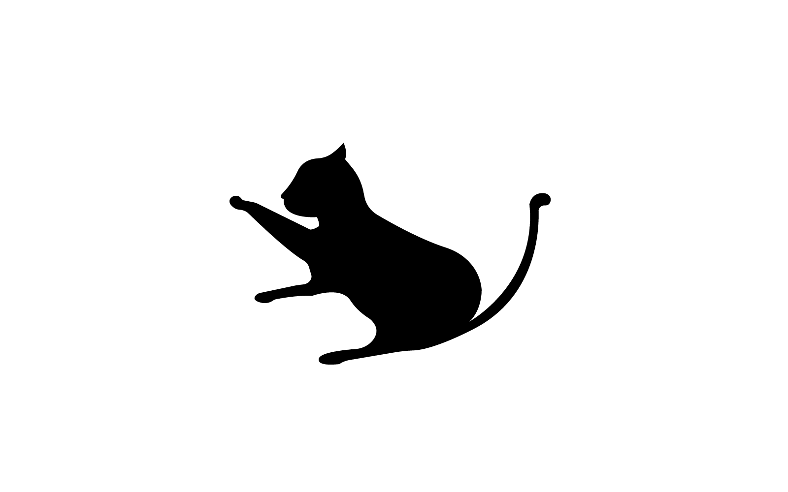 kat logo illustratie vector ontwerpsjabloon