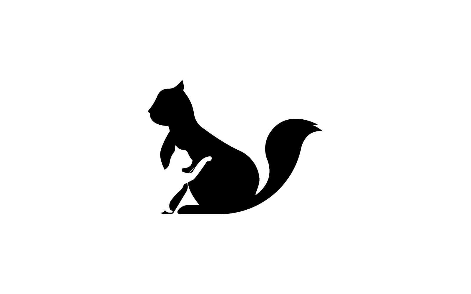 šablona návrhu loga kočky vektorové ilustrace