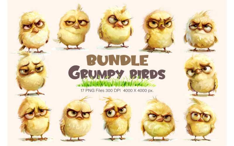 Grumpy cute birds 01. TShirt Sticker. Illustration