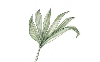 Air Plant Leaves Watercolour Style Painting 4