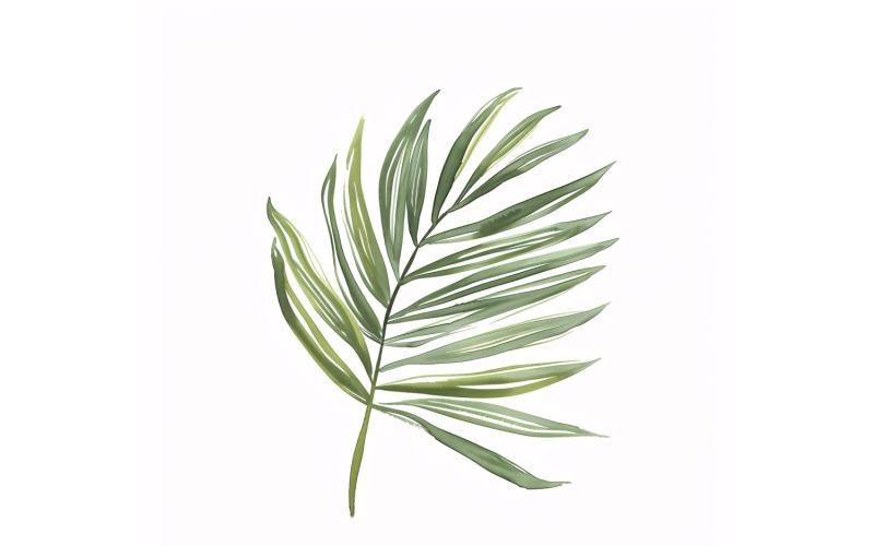 Areca Palm Leaves Watercolour Style Painting 2 Illustration