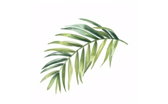 Areca Palm Leaves Watercolour Style Painting 5