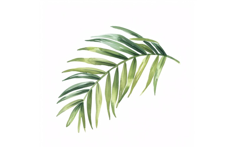 Areca Palm Leaves Watercolour Style Painting 5 Illustration
