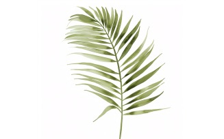 Areca Palm Leaves Watercolour Style Painting 6