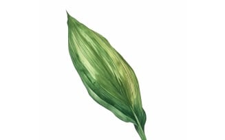 Aspidistra Leaves Watercolour Style Painting 2