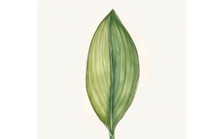 Aspidistra Leaves Watercolour Style Painting 4