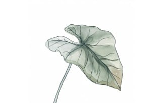 Begonia Leaves Watercolour Style Painting 4