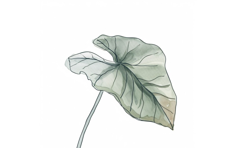 Begonia Leaves Watercolour Style Painting 4 Illustration