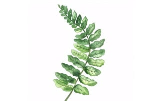 Boston Fern Leaves Watercolour Style Painting 1