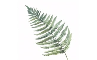 Boston Fern Leaves Watercolour Style Painting 4