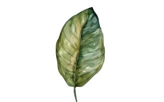 Calathea Leaves Watercolour Style Painting 4