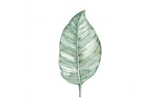 Croton Leaves Watercolour Style Painting 1