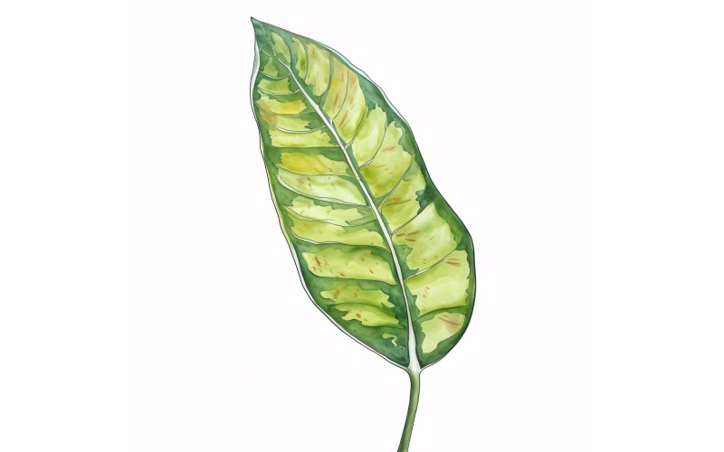 Croton Leaves Watercolour Style Painting 3 Illustration