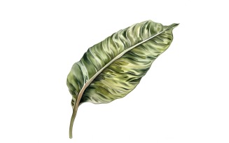 Croton Leaves Watercolour Style Painting 4