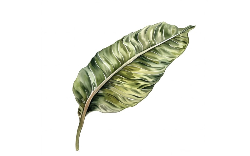 Croton Leaves Watercolour Style Painting 4 Illustration
