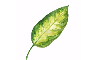 Dieffenbachia Leaves Watercolour Style Painting 3
