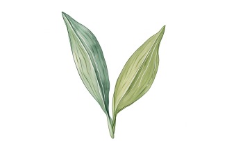 Dracaena Leaves Watercolour Style Painting 2