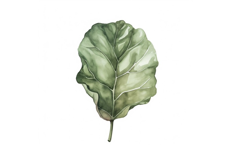 Fiddle Leaves Watercolour Style Painting 1 Illustration