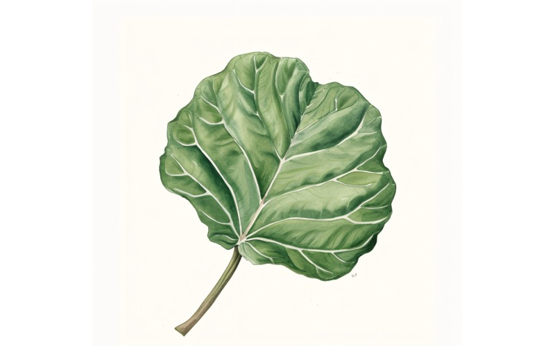 Fiddle Leaves Watercolour Style Painting 3 Illustration