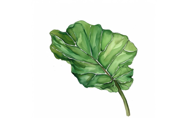 Fiddle Leaves Watercolour Style Painting 6 Illustration