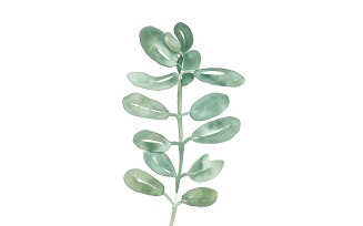 Jade Leaves Watercolour Style Painting 1