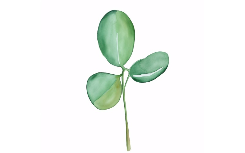 Jade Leaves Watercolour Style Painting 4 Illustration