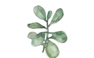 Jade Leaves Watercolour Style Painting 6