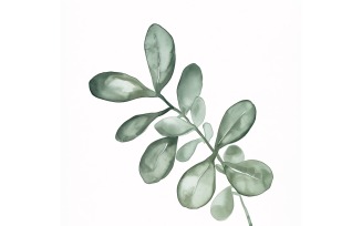 Jade Leaves Watercolour Style Painting 7