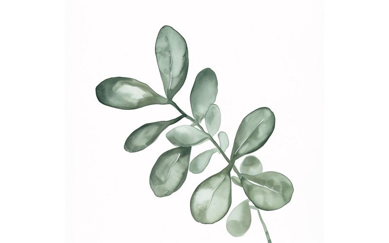 Jade Leaves Watercolour Style Painting 7 Illustration