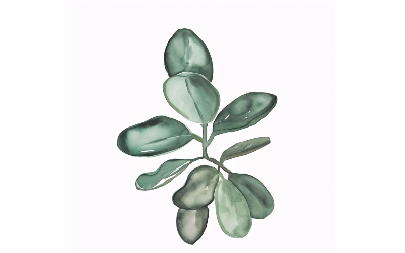 Jade Leaves Watercolour Style Painting 8 Illustration