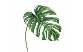 Monstera Leaves Watercolour Style Painting 1