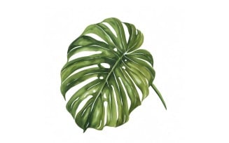 Monstera Leaves Watercolour Style Painting 2