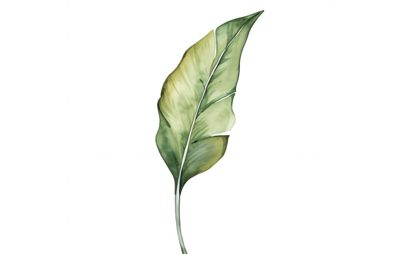 Paradise Leaves Watercolour Style Painting 2 Illustration