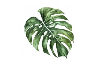 Monstera Leaves Watercolour Style Painting 3