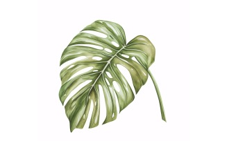 Monstera Leaves Watercolour Style Painting 6