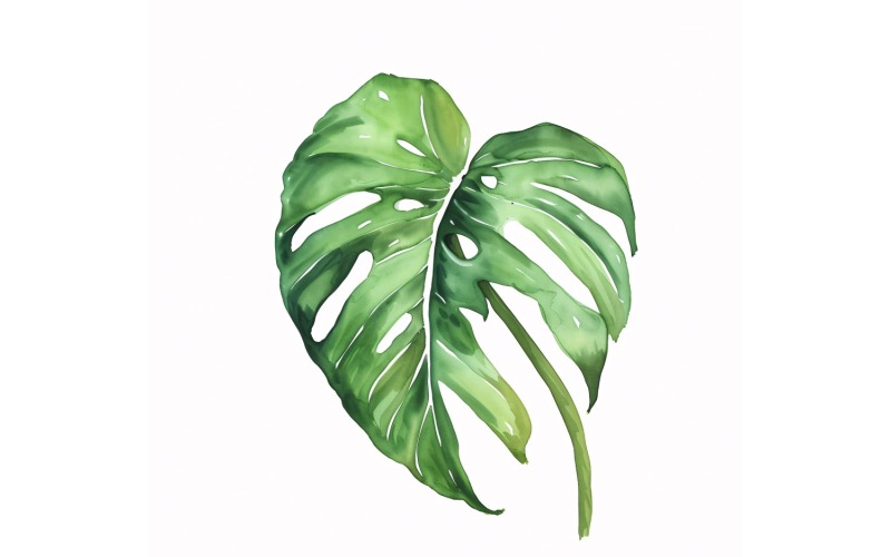 Philodendron Leaves Watercolour Style Painting 3 Illustration