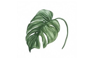 Philodendron Leaves Watercolour Style Painting 4