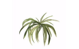 ponytail palm leaf Watercolour Style Painting 2