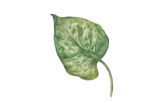 Pothos Leaves Watercolour Style Painting 3