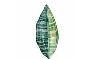 Snake Leaves Watercolour Style Painting 2