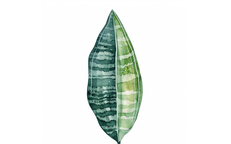Snake Leaves Watercolour Style Painting 2 Illustration