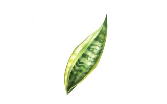 Snake Leaves Watercolour Style Painting 4