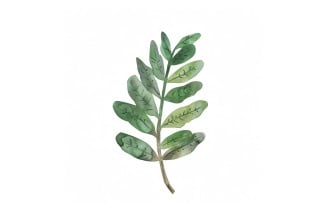 ZZ Plant Leaves Watercolour Style Painting 1