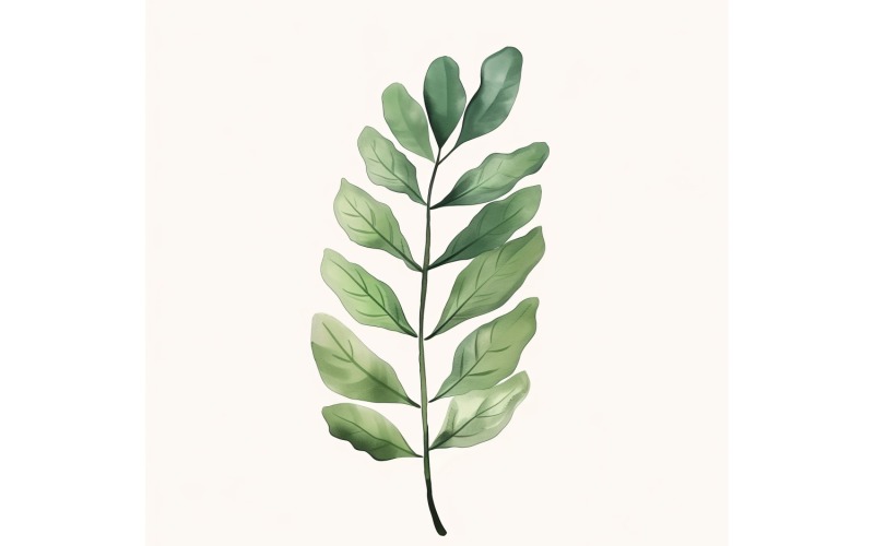 ZZ Plant Leaves Watercolour Style Painting 2 Illustration