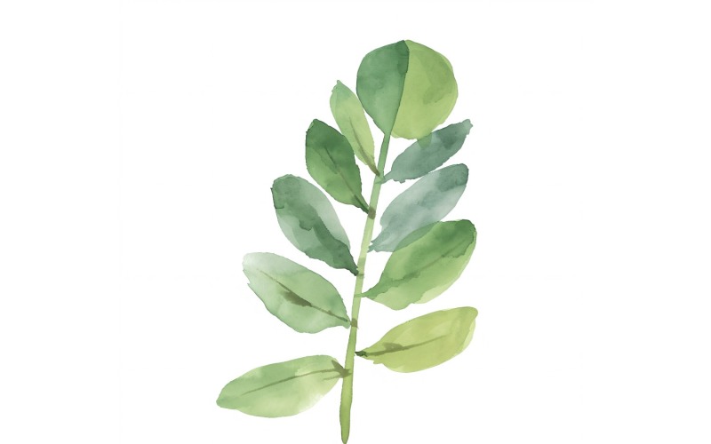 ZZ Plant Leaves Watercolour Style Painting 3 Illustration