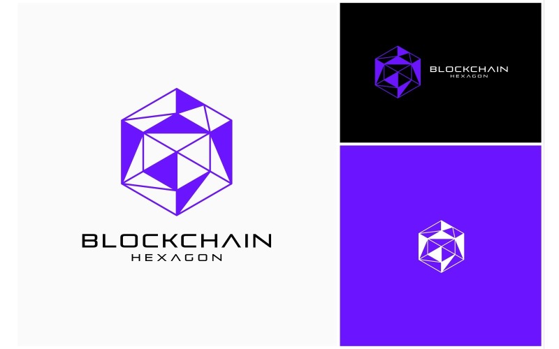 Blockchain Hexagon Technology Logo Logo Template